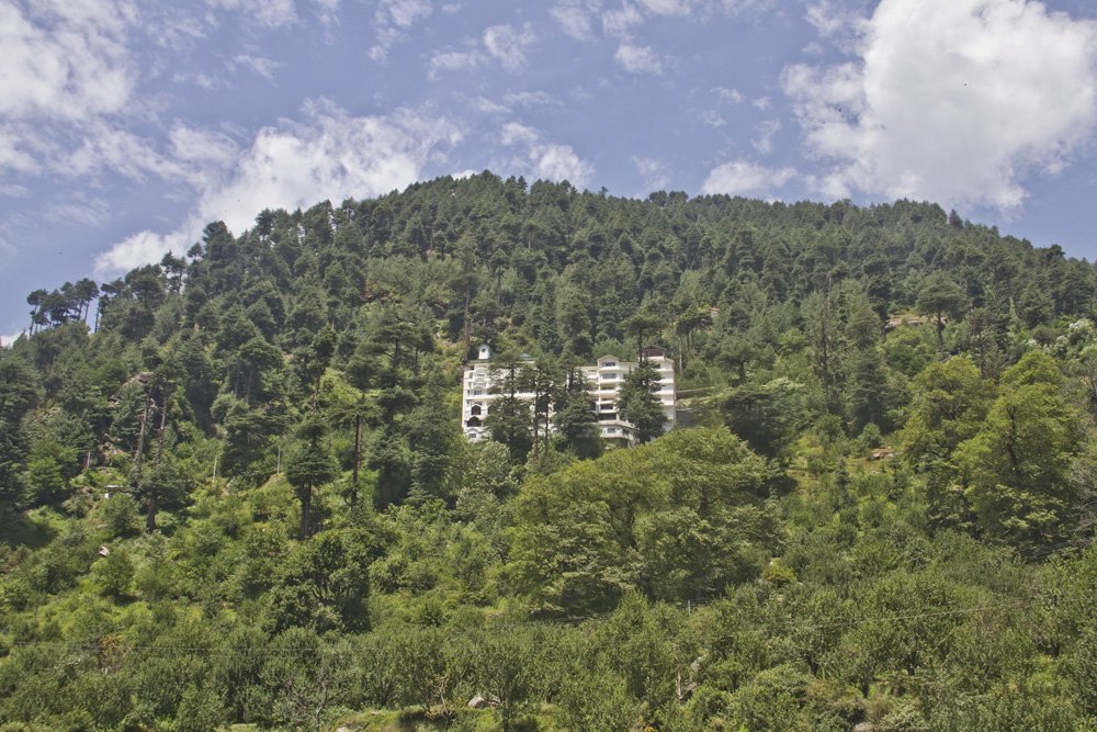 Himalayan Monal Manali Valley View