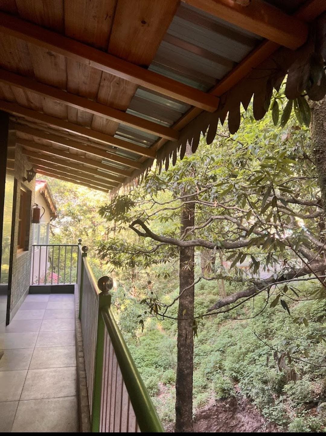 Cedar Woods Nainital Hotel Grounds