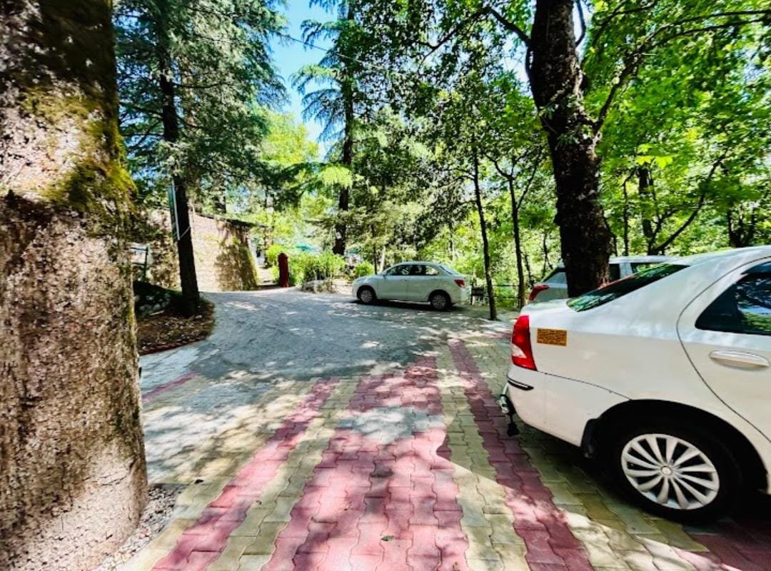 Cedar Woods Nainital Hotel Grounds