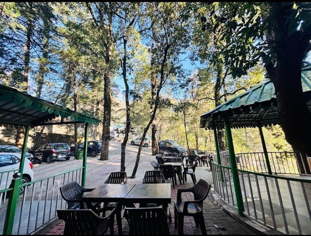 Cedar Woods Nainital Hotel Grounds