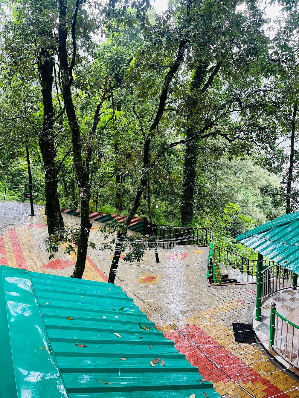Cedar Woods Nainital Lobby