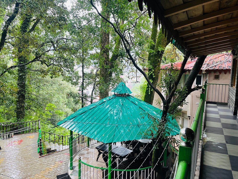 Cedar Woods Nainital Outdoor Area