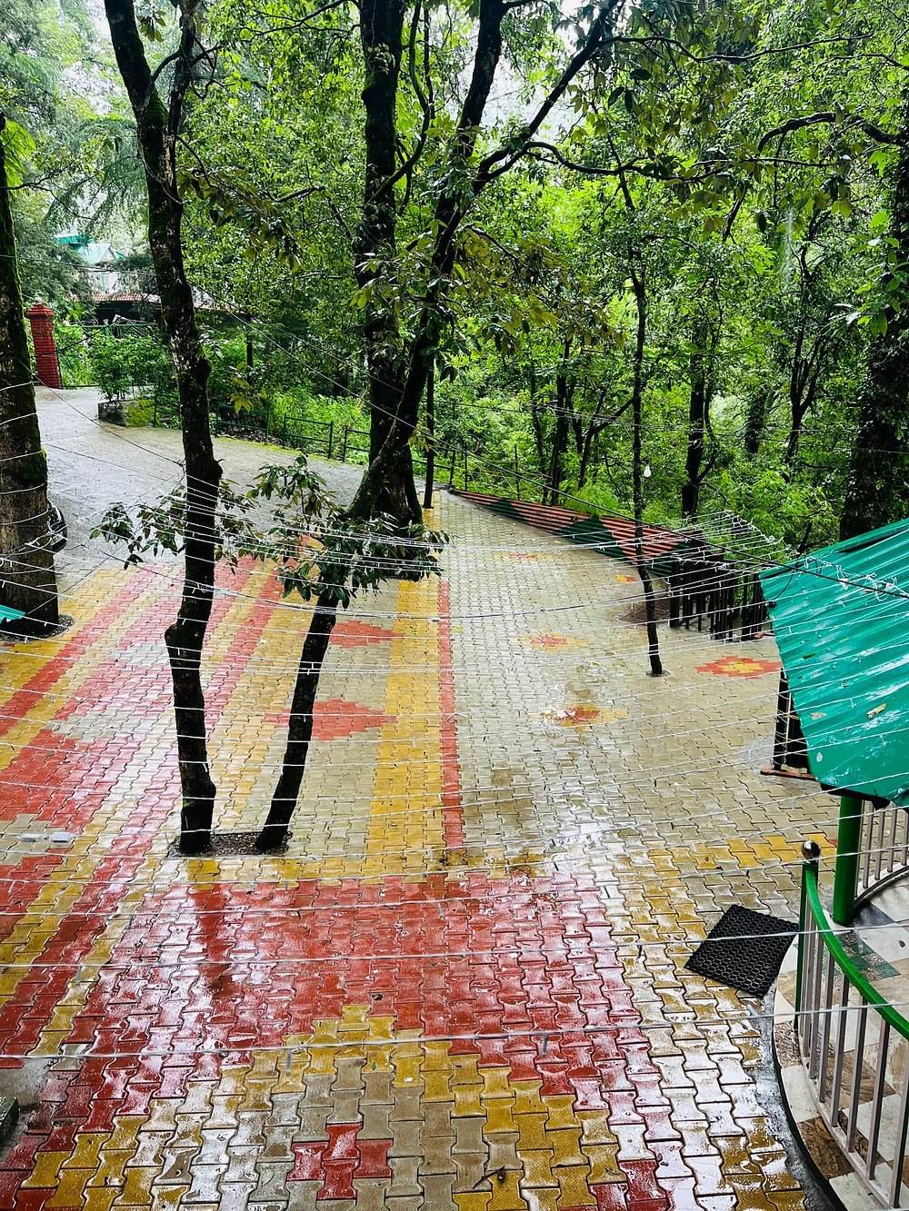 Cedar Woods Nainital Room Decor