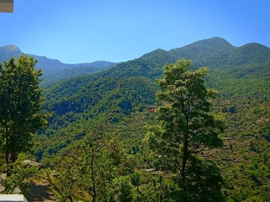 Eco-Friendly Room at Chopta Havens